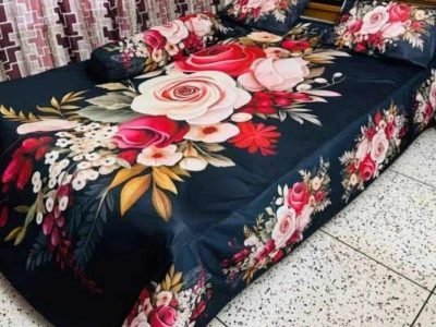 WhatsApp Image 2025-10-12 at 4.41.47 PM